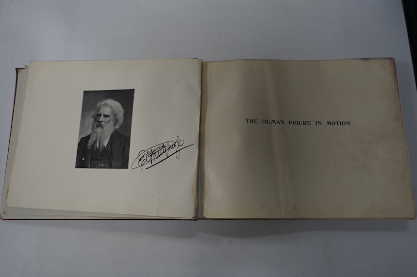 Muybridge, Eadweard - The Human Figure in Motion: an electro-photographic investigation of consecutive phases of muscular actions. frontis and approx. 250pp. of photo. illus. (with multi images per page); publisher's gil